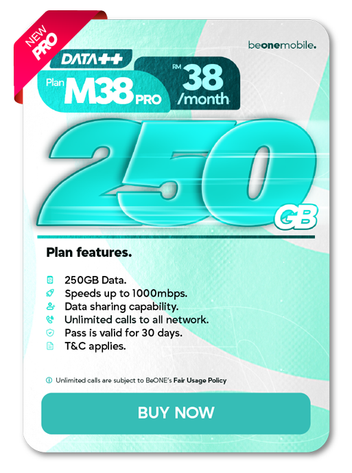 M30 Plan